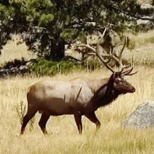 Meet your Posher, Leeann